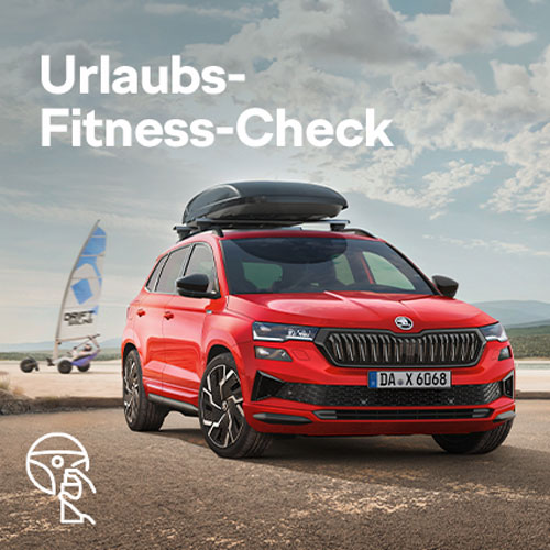 Auto Check vor dem Urlaub