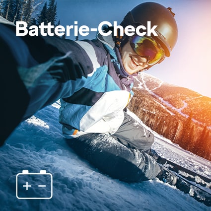 Skoda Batterie-Check