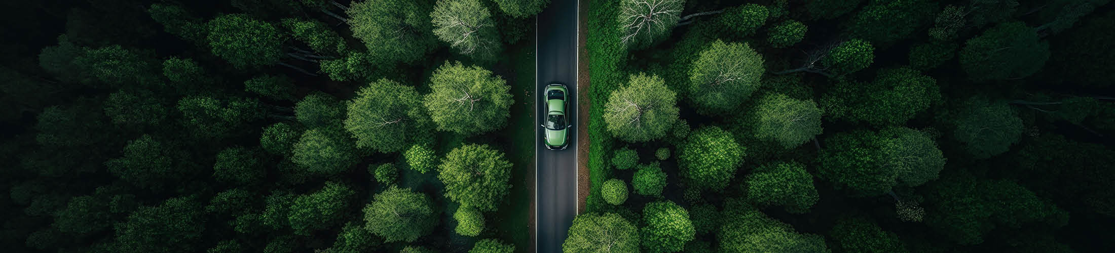 Auto fährt auf einer Straße, die sich durch einen dichten, grünen Wald zieht. Die Aufnahme ist aus der Vogelperspektive und vermittelt ein Gefühl von Naturverbundenheit und Nachhaltigkeit.