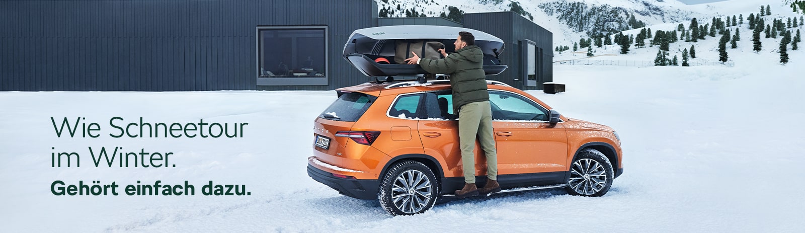 Škoda Service im Winter