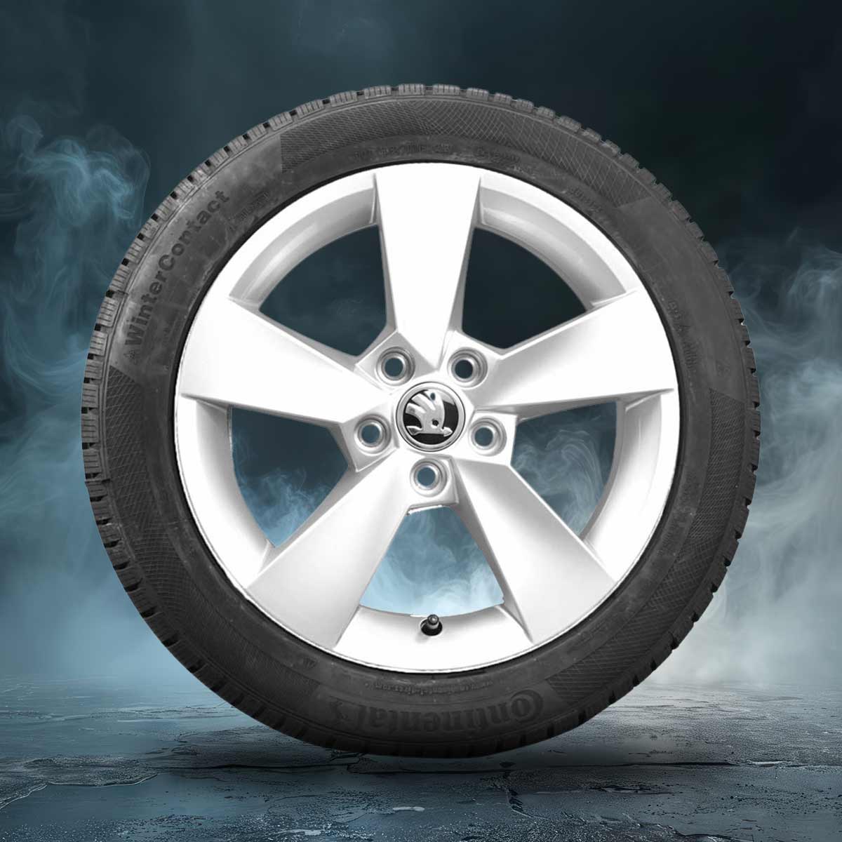 zu sehen: Winterkomplettrad Fabia